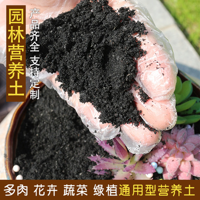 鏈接農業全鏈 智繪田園未來——探索立體化綠色農業矩陣的現在與遠方
